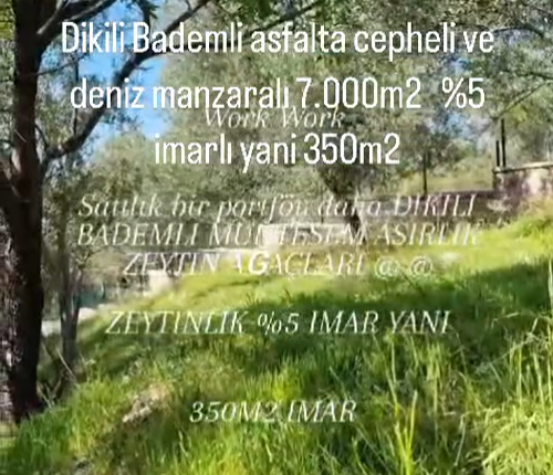 Dikili bademli
